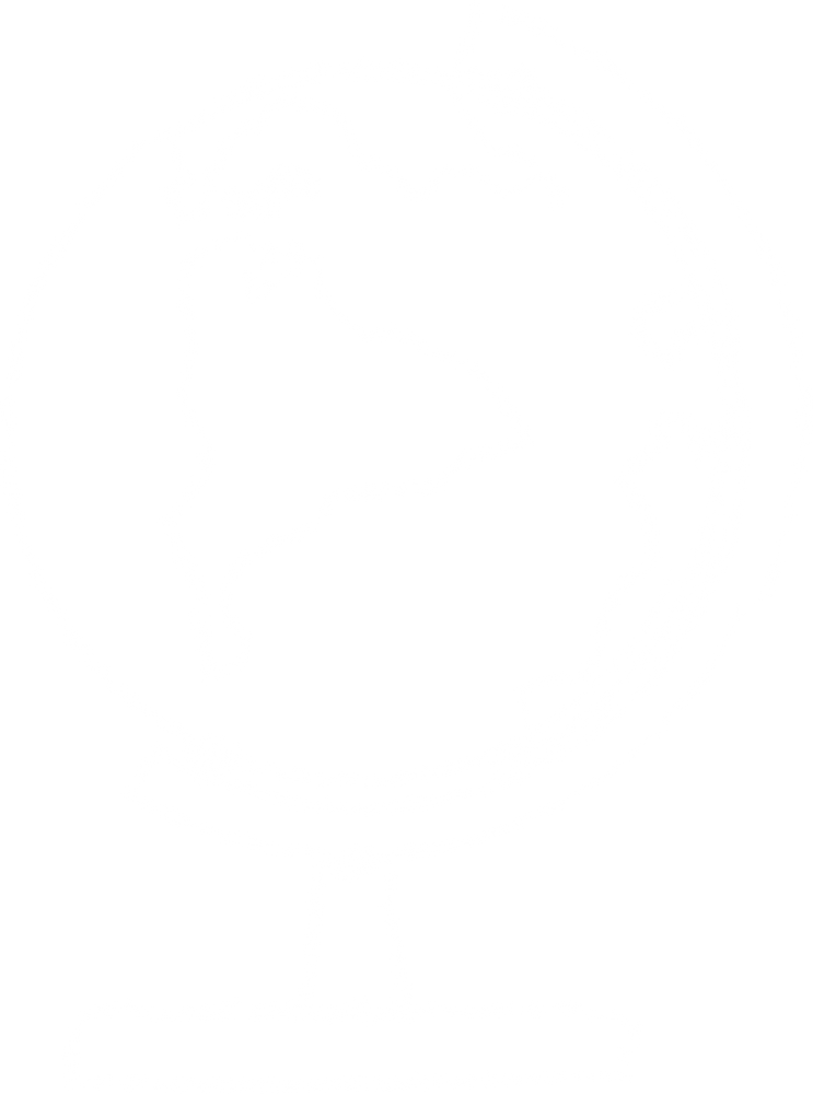 White globe chalk line art